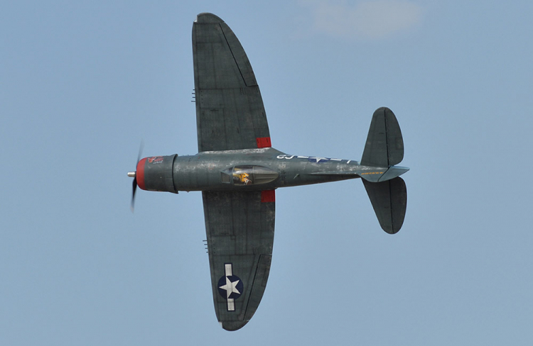 Black Horse P-47 Thunderbolt 50-60cc Bensin ARF el-landställ - Bild 8