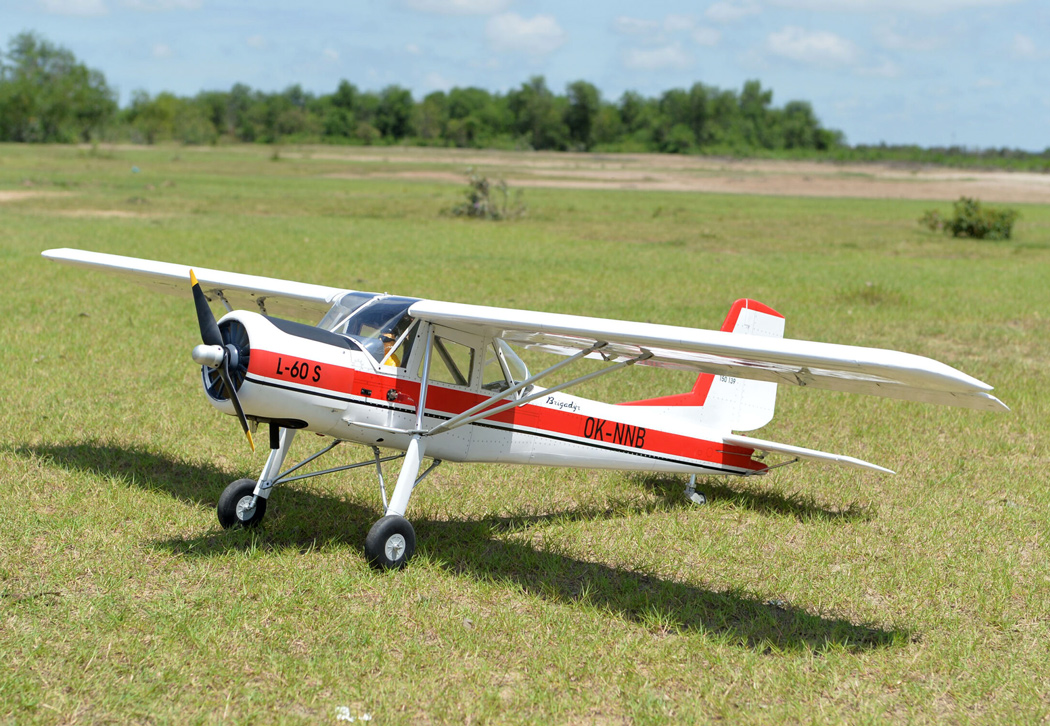 Black Horse L-60 Brigadyr 30-35cc Gas 2668mm ARF - Bild 2