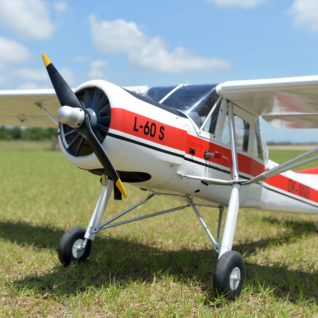 Black Horse L-60 Brigadyr 30-35cc Gas 2668mm ARF - Bild 5