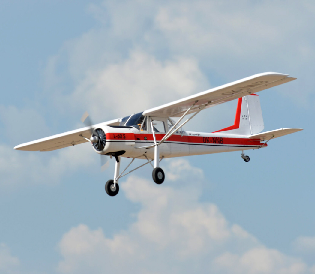 Black Horse L-60 Brigadyr 30-35cc Gas 2668mm ARF - Bild 7