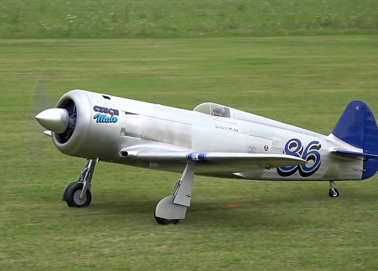 Seagull YAK-11 Reno Racer Czech Mate - Bild 2