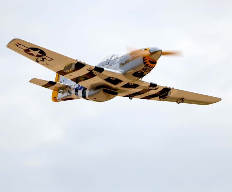 Seagull North American P-51D Charlotte Chariot - Bild 6